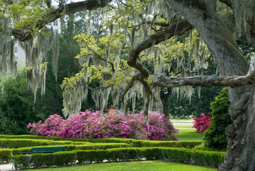 LSU Hilltop Arboretum, United States